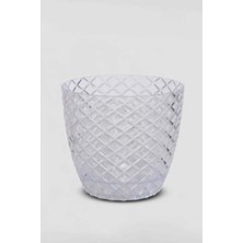 Miray Life Dekoratif Orkidede Saksı 2 No: Orta Boy 1.6