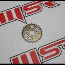 Msr Voge 250RR Eksantirik Dişlisi Loncın A