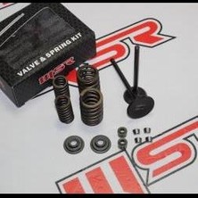 Cg 200 Özel Alaşım Siyah Subap Takımı ve Yay Msr