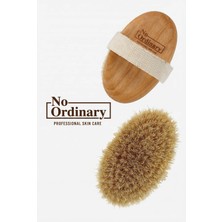 No Ordinary Doğal At Kılı   Fırçası