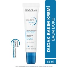 Atoderm Lip Balm Kuru, Çatlamış Dudak Besleyici Nemlendirici Dudak Kremi Avokado ve Shea Yağı 15 ml