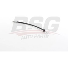 BSG FREN HORTUMU ÖN MEGANE 1 / SCENIC 1 / 1995-2003 7700840390