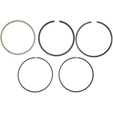 Briggs & Stratton Segman Takımı Std B592957 - CR950,XR950