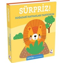 Arenes Sürpriz! - Doğadaki Hayvanları Tanıyorum