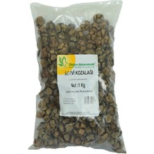 K&A Selvi Kozalağı Doğal 1000 gr Paket