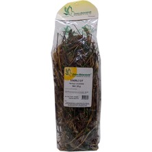 K&A Sinirli Yaprak Otu Sinirli Ot Doğal 50 gr Paket