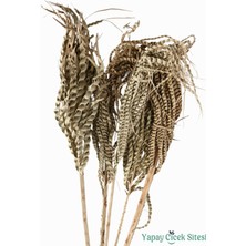 Yapay Çiçek Sitesi Kuru Çiçek Doğal Yılan Örgü Palm Snake Stems 50 cm 5li