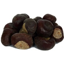 K&A At Kestanesi Meyvesi Doğal 1000 gr Paket