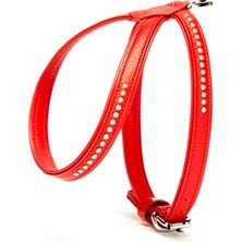 K&A  Taşlı Deri Köpek Göğüs Tasması 1,2 x 21-30 cm Kırmızı