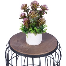 Yapay Çiçek Sitesi Beton Saksıda Yapay Bitkili Tanzimler Model 2