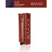 Maxx Deluxe Tüp Boya 100 ml 3.22 Patlıcan Moru