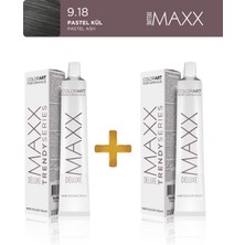 Maxx Deluxe 2'li Trendy Series Tüp Boya 60 ml 9.18 Pastel Kül