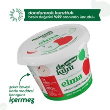 Dokuru Original Elma Atıştırmalık Meyve Cipsi - Dondurularak Kurutulmuş Elma - Freeze Dried Elma