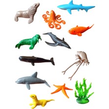 PopŞeker 10'lu Mini Boy Okyanus Canlıları ile Okyanusun Sırlarını Keşfet!