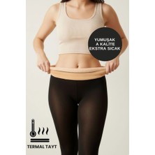 Alexander Hud Kadın Fit Gösteren Çok Esnek Ten Cilt Görünümlü Içi Polarlı Peluş Kışlık Külotlu Termal Içlik Çorap