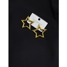 316L Çelik Gold Renk Yıldız Küpe