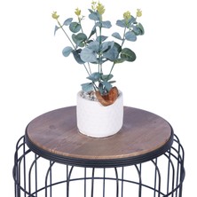 Yapay Çiçek Sitesi Beton Saksıda Yapay Bitkili Tanzimler Model 3