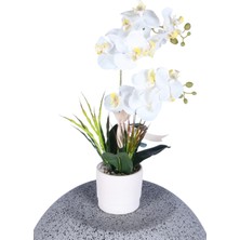 Yapay Çiçek Sitesi Dekoratif Beton Saksıda Yapay 2 Dal Beyaz Orkide Çiçeği