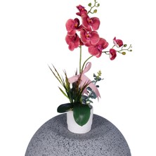 Yapay Çiçek Sitesi Dekoratif Beton Saksıda Yapay 2 Dal Pembe Orkide Çiçeği