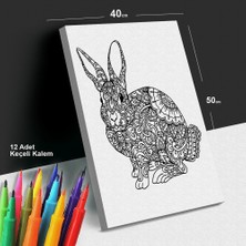 Sihirli Kulaklar 40X50 Tuval Boyama Seti - 12'li Keçeli Kalem Ile Birlikte -