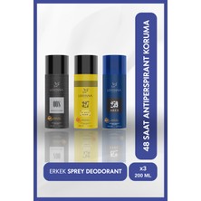Lorinna Paris Erkek Deodorant Set 3X200 ml (Aventues - Le Male Elixir - Ares)