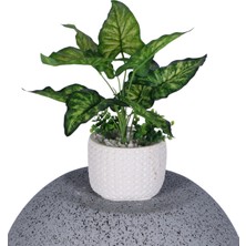 Yapay Çiçek Sitesi Beton Saksıda Yapay Bitkili Tanzimler Model 20