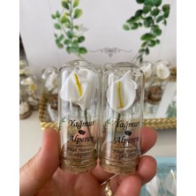 Siyah Lale Nikah Şekeri Cam Fanus Kardelen Çiçek ve Fıstık Şekerli Nikah, Söz, Nişan Hediyelik - 50 Adet