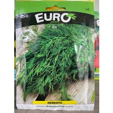 Euro Seed Dereotu Tohumu 10 gr