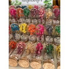 Siyah Lale Nikah Şekeri Cam Fanus 50 Adet Nikah Şekeri Karışık Renkli Cipso Çiçek ve Çakıl Taşlı