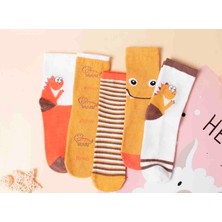 BGK Çorap Bgk 5'li Dinazor Desenli Çocuk Çorabı
