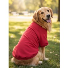 Kemique Reddy Kırmızı Kapşonsız Sweatshirt, Orta ve Büyük Irklar Için