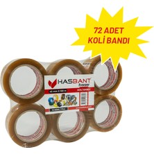 Hasbant Has Bant Freezer 45MMX100M Koli Bandı - 72 Adet