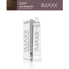 Maxx Deluxe Trendy Series Tüp Boya 60 ml 10Sp Açık Gümüş İnci