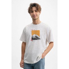 Caddekombin Erkek Özgür Ruh Dağ Silüeti Baskılı Bisiklet Yaka Gri T-Shirt