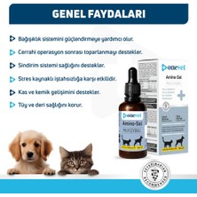 Onevet Amino-Sol Yavru Kedi ve Köpekler Için Gelişim Destekleyici Damla 50 ml