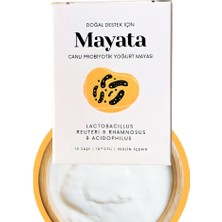 Mayata - Probiyotik Yoğurt Mayası - 10'lu Paket