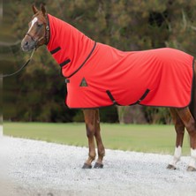 Boyunluklu Polar Blanket Çam Yeşili 100 Ile 160 Beden Arası Ölçüler