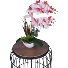 Yapay Çiçek Sitesi Dekoratif Melamin Saksıda Bol Yeşillikli Orkide Tanzimi Pembe