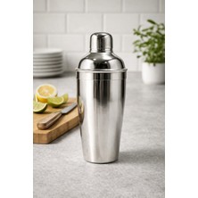 BRANDSMITHS Premium Metal Bar Shaker