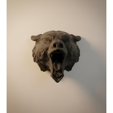 Özbience Çift Fonksiyonlu Hızlı Isınan Saç Şekillendirici ve Düzleştirici