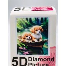 Duck Hoby 50X40 Boncuklu Taş Mozaik Elmas Goblen Pano Tablo Resim Boncuk Puzzle Dıamond Paıntıng Hı Stone