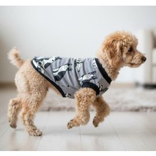 Miniş Dog Friends Küçük Irk Köpek Esnek Penye T-Shirt