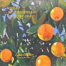 Plak İstasyonu Lana Del Rey Violet Bent Backwards Over The Grass Lp Plak