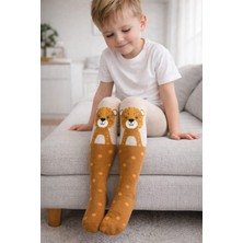 Gigi Giyim Hayvan Desenli Erkek Çocuk Külotlu Çorap