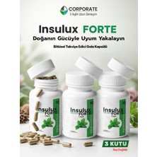 İnsulux 3 x 30 Caps Insulux Forte Gurmar,acı Yavşan,oğulotu ve Tarçın Özü Içeren Takviye Edici Gıda Detox Ürün Hediyesiyle