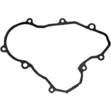 Apachi 4V (27HP) Krank Kutusu Sol Kapak Contası