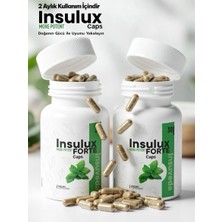 İnsulux 2 x 30 Caps Insulux Forte Gurmar ve Tarçın Özü Içeren Takviye Edici Gıda Detox Ürün Hediyesiyle