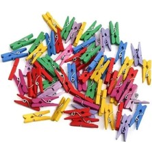 DS LLC Ieg™ 100LÜ Renkli Ahşap Mandal Seti 2.5 cm DSLLCRS-ETIEG34