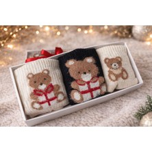 Leylooks Ayı - Teddy Bear Desenli Çorap (Kutulu 3'lü Set)