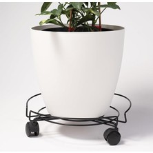 Tekniktel 3 Tekerlekli Tüpçek Damacana Tüp Saksı Altlığı Siyah